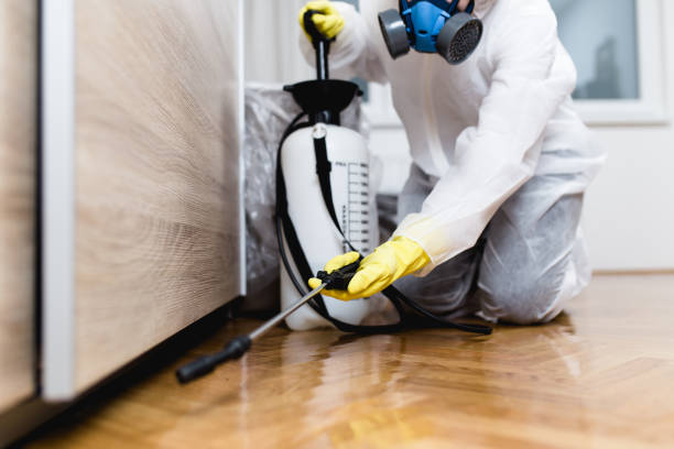 Best Insect Control  in Friars Point, MS
