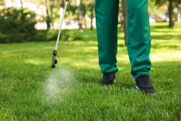 Best Mosquito Control Services  in Friars Point, MS