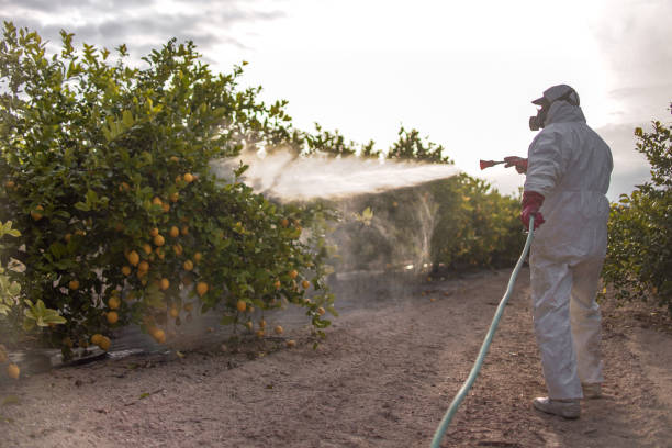 Pest Control for Restaurants in Friars Point, MS