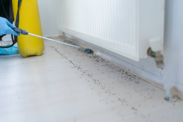 Best Pest Control for Restaurants  in Friars Point, MS